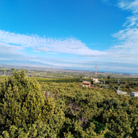 Agrumeto con casa in Contrada Barone a Carlentini