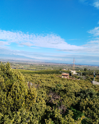 Agrumeto con casa in Contrada Barone a Carlentini