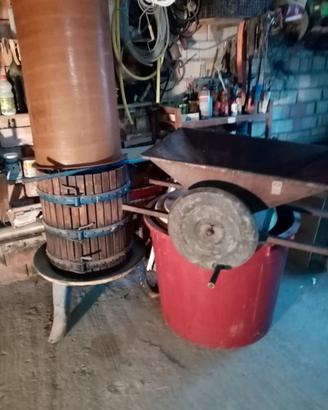 Torchio Torchio Macina Tino 300lt  Serbatoio