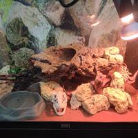 allestimento acquario/rettilaio 