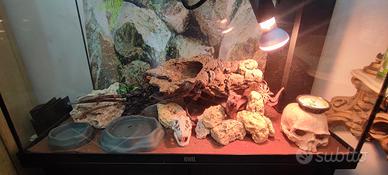 allestimento acquario/rettilaio 