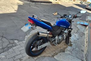 Honda hornet 600