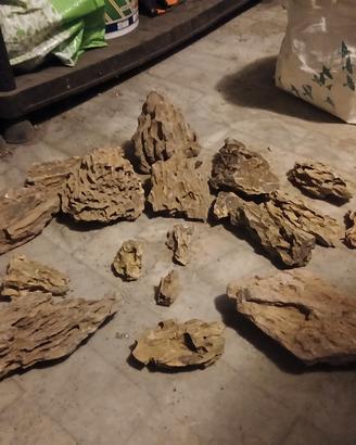 Rocce Dragon Acquario