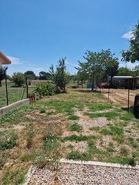 AP260 - Appartamento al grezzo di 100 mq a Torrita