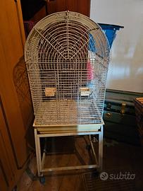 gabbia volatili 