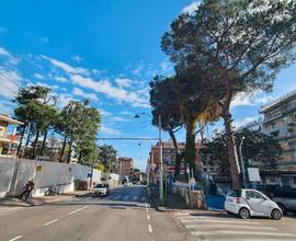 Box in pineta colli aminei