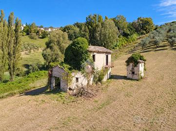 CASA INDIPENDENTE A TORRI IN SABINA