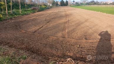 Terreno agricolo