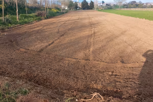 Terreno agricolo