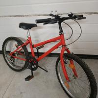 Bicicletta 20 pollici 