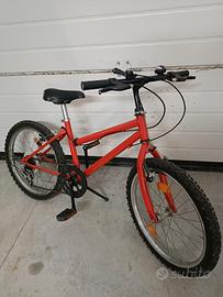 Bicicletta 20 pollici 