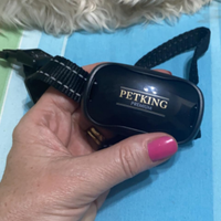 Collare educativo anti abbaio