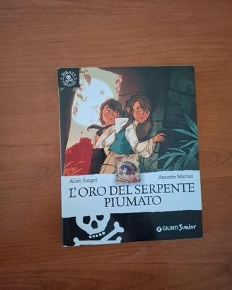 libri per bambini sui pirati 