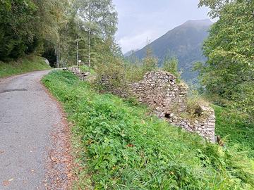 Terreno fabbricabile 19000mq