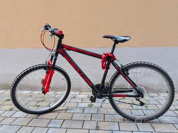 Mountain bike