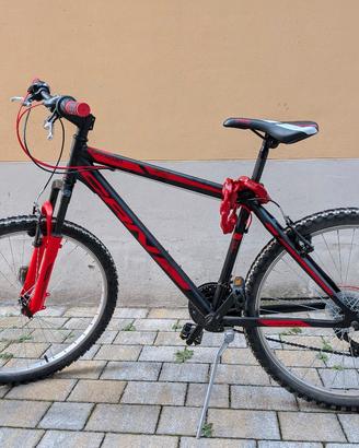 Mountain bike