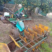 scopatrice per olive e mandorle 18 spazzole 