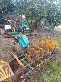 scopatrice per olive e mandorle 18 spazzole 