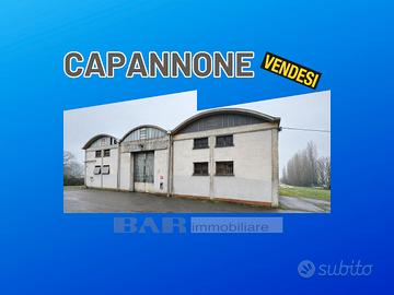 Rif. 26/I104 - CAPANNONE