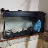 Acquario 100 da litri