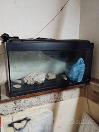 Acquario 100 da litri