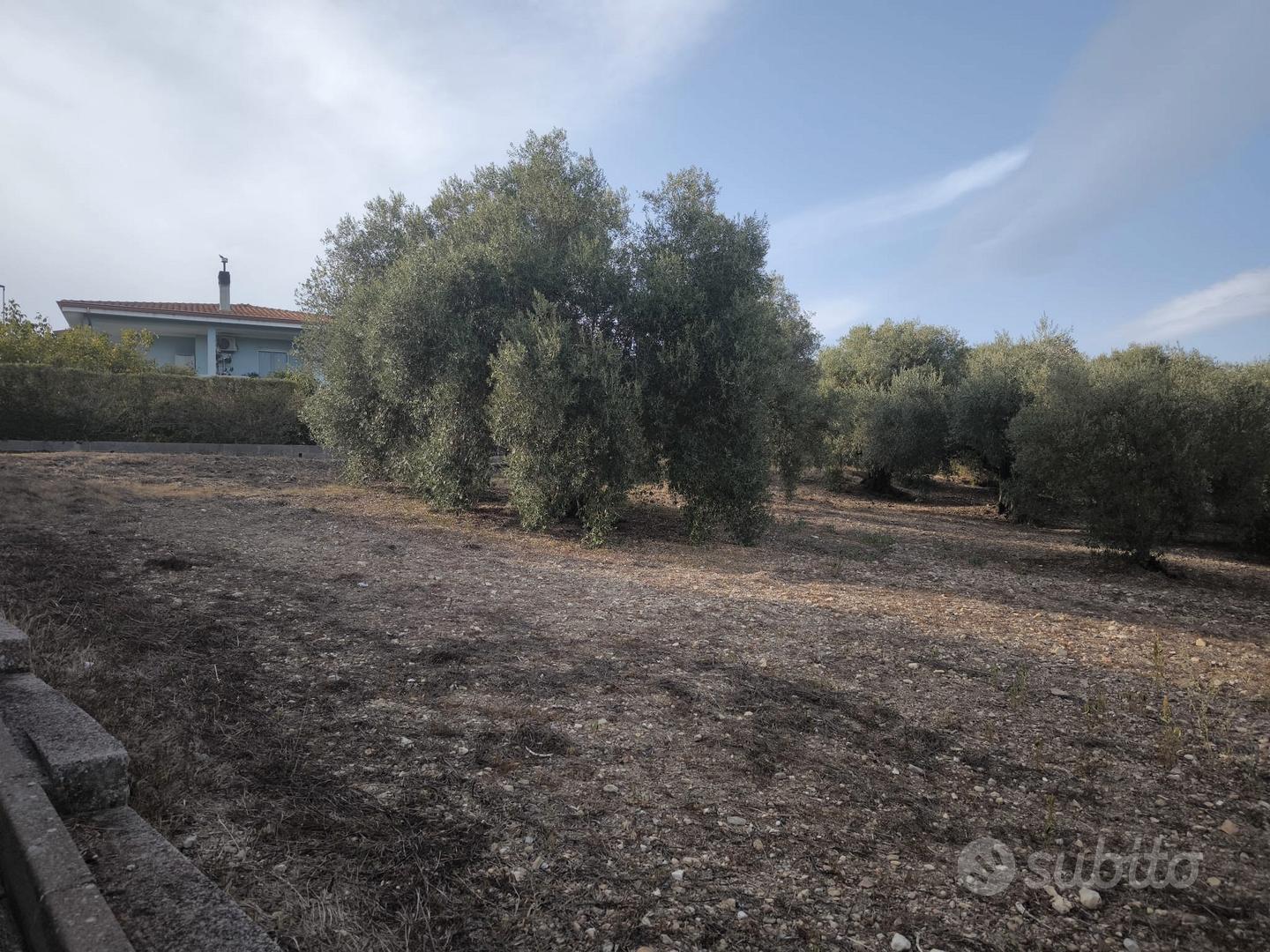 Terreno edificabile - Vista 4