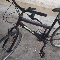 bicicletta 