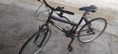 bicicletta 