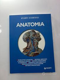 Anatomia