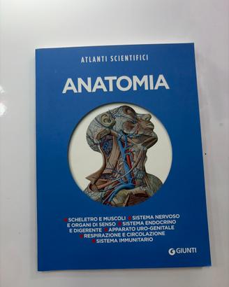 Anatomia