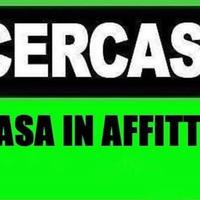 Appartamento 6 mesi referenziato