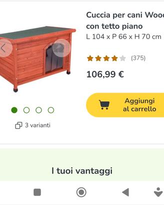 cuccia per cani da esterno taglia media