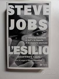 Steve Jobs l'esilio