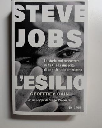 Steve Jobs l'esilio