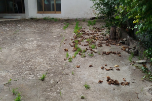 Casa con ampio cortile anteriore , da ristruttura