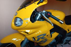 TRIUMPH RS 955I  A.S.I 