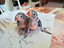 Immagine 4