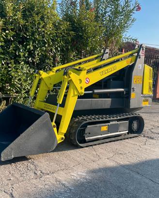 P35 Mini pala cingolata 13 q.li