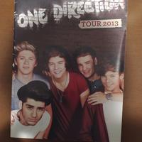ONE DIRECTION tour 2013