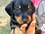 Immagine 3