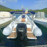 SACS 7 m. - Mercury 225 CV four stroke