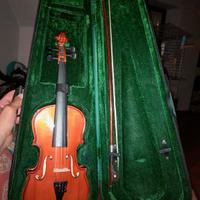 violino