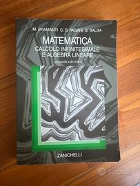 Matematica: Calcolo infinitesiamele e algebra