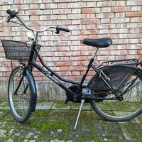 Bicicletta donna FANINI HOLLAND nera