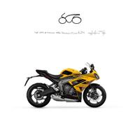 TRIUMPH Daytona 660 MY