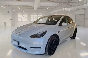 TESLA MODEL Y 75 KWH DUAL MOTOR LONG RANGE 4WD AUT
