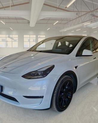 TESLA MODEL Y 75 KWH DUAL MOTOR LONG RANGE 4WD AUT