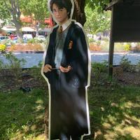 Sagoma Harry Potter