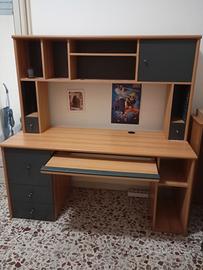scrivania professionale 