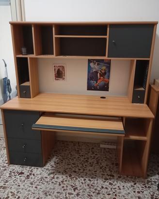 scrivania professionale 
